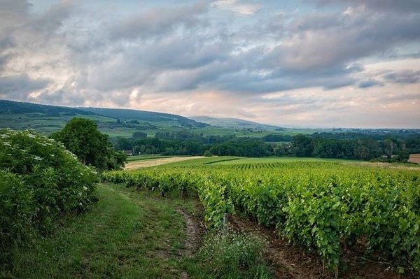 Les meilleurs hôtels pour profiter des vignobles en Lubéron